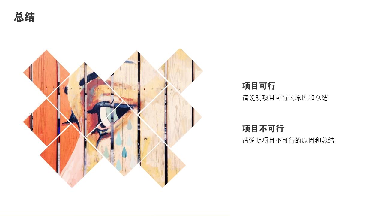 多彩缤纷项目可行性研究PPT模版-总结