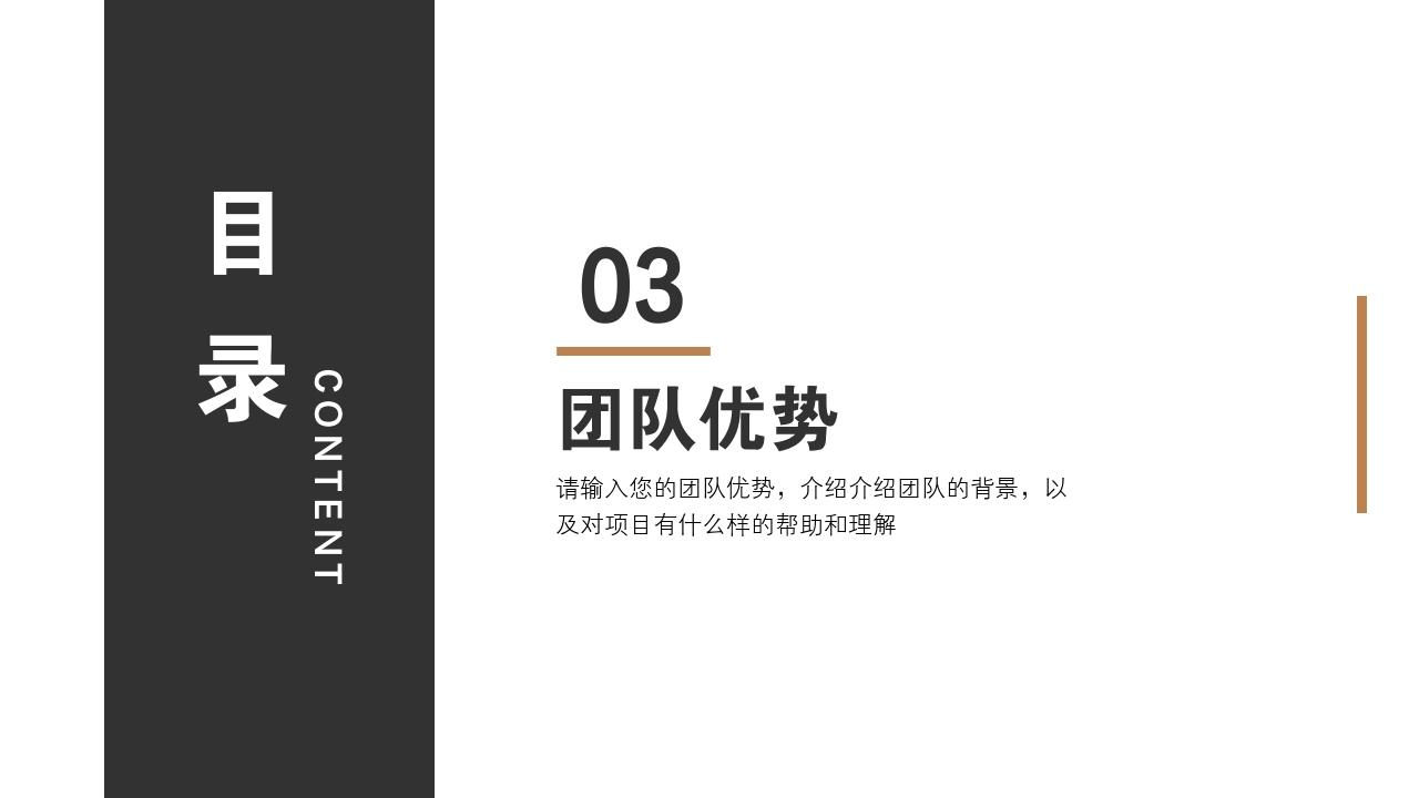 互联网股份制商业计划书模板-团队优势
