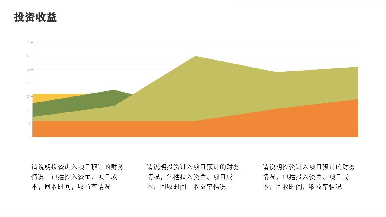多彩缤纷项目可行性研究PPT模版-投资收益