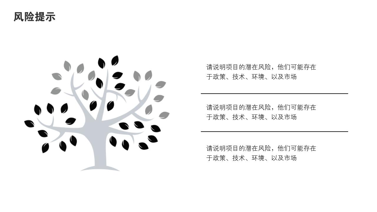 商务通用项目可行性研究PPT模版-风险提示